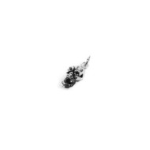 Charm teschio